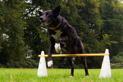 DSC0826-BEARBEITET